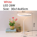 LED Table Lamp iron